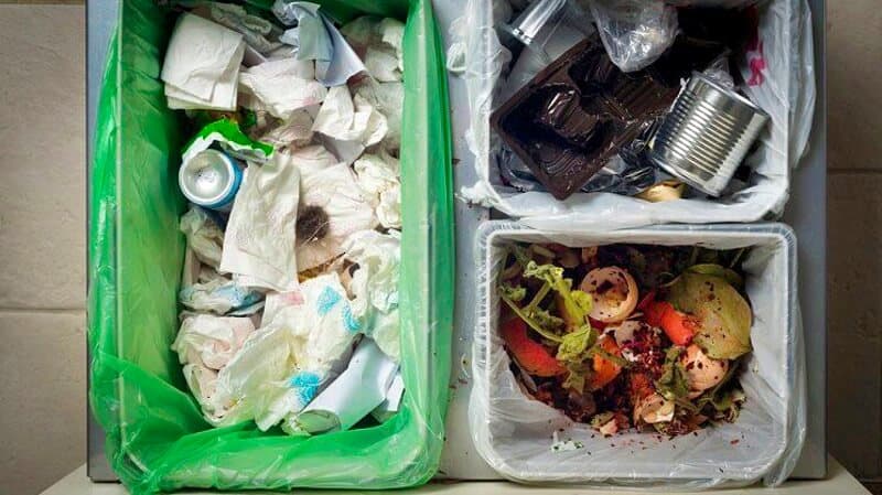 what-not-to-compost