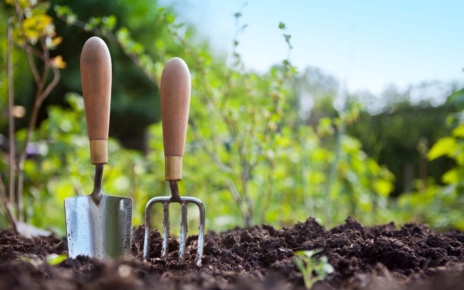Gardening Tools to Get Started