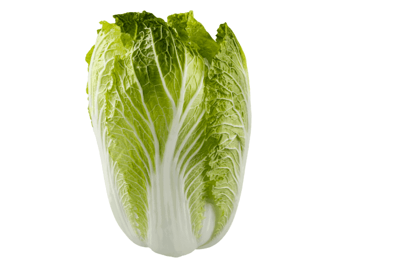 Lettuce-Transparent