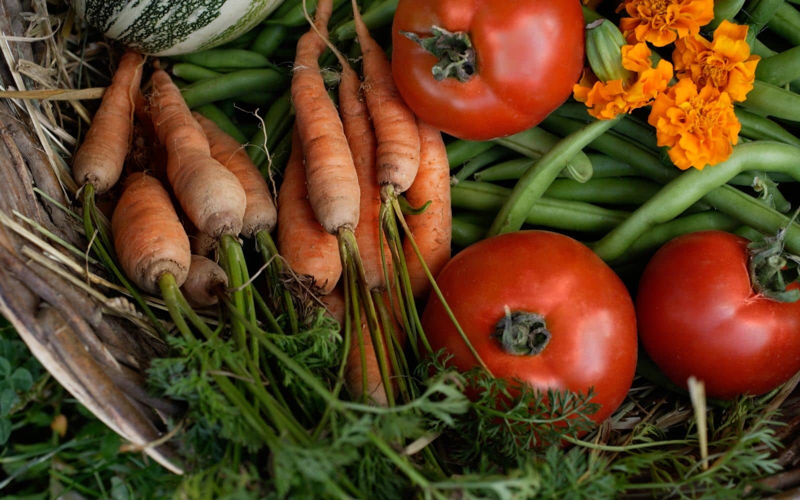 Vegetable Bucket